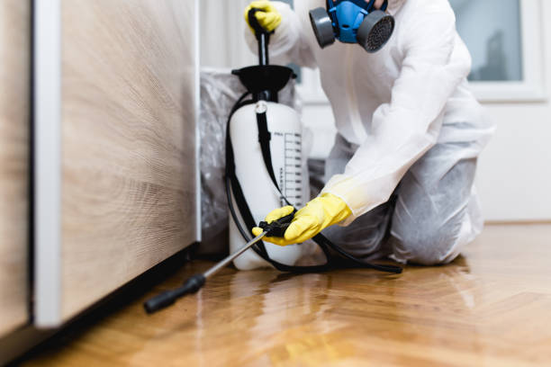 Pest Control Cost in Wadsworth, OH