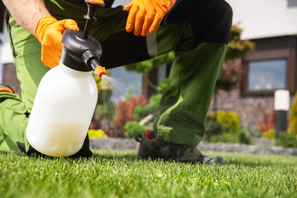 Best Termite Control Services  in Wadsworth, OH
