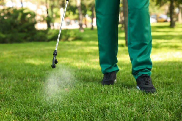 Best Local Pest Control Services  in Wadsworth, OH
