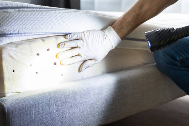 Best Exterminator Services  in Wadsworth, OH